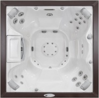 Спа бассейн Sundance Spas Constance